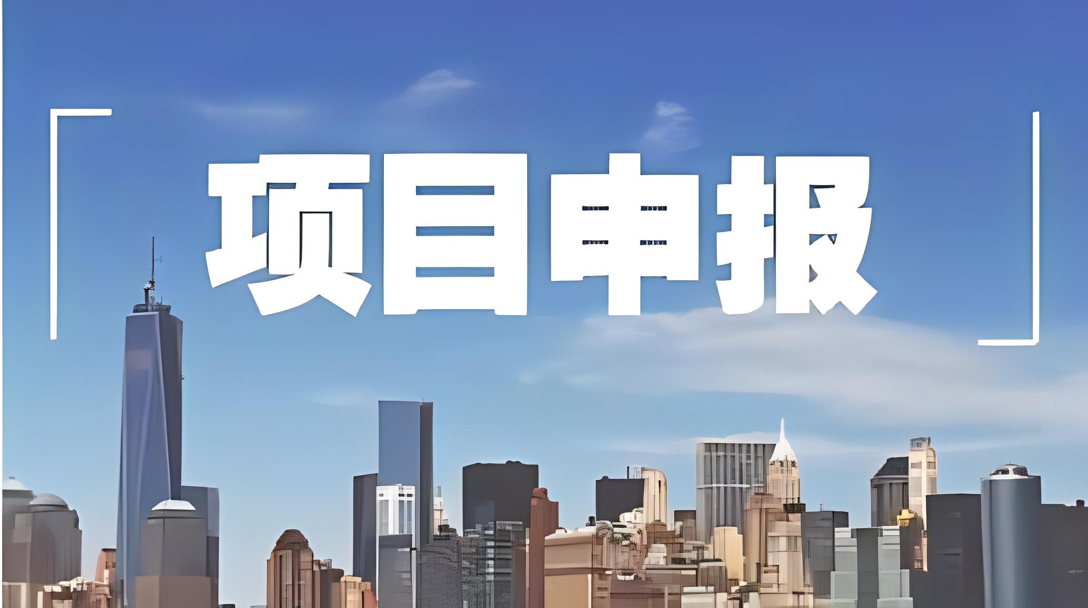項(xiàng)目申報服務(wù)案例